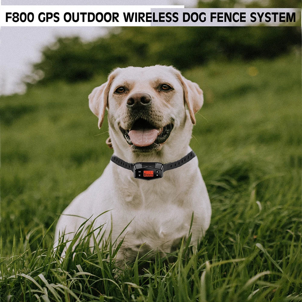 Revolutionary GPS Dog Training Collar: Wireless Electronic Fence System for Outdoor Freedom