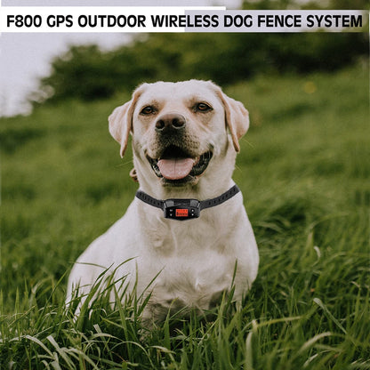 Revolutionary GPS Dog Training Collar: Wireless Electronic Fence System for Outdoor Freedom